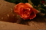 Nata - Bodyscape: Love is a Rose-e0s87790c1.jpg