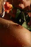 Nata - Bodyscape: Love is a Rose-b0or6d424a.jpg